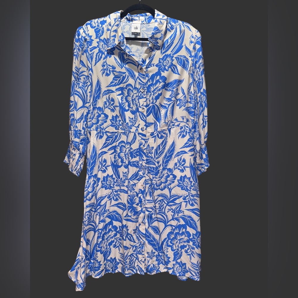 CAbi Blue and Cream Athena Dress